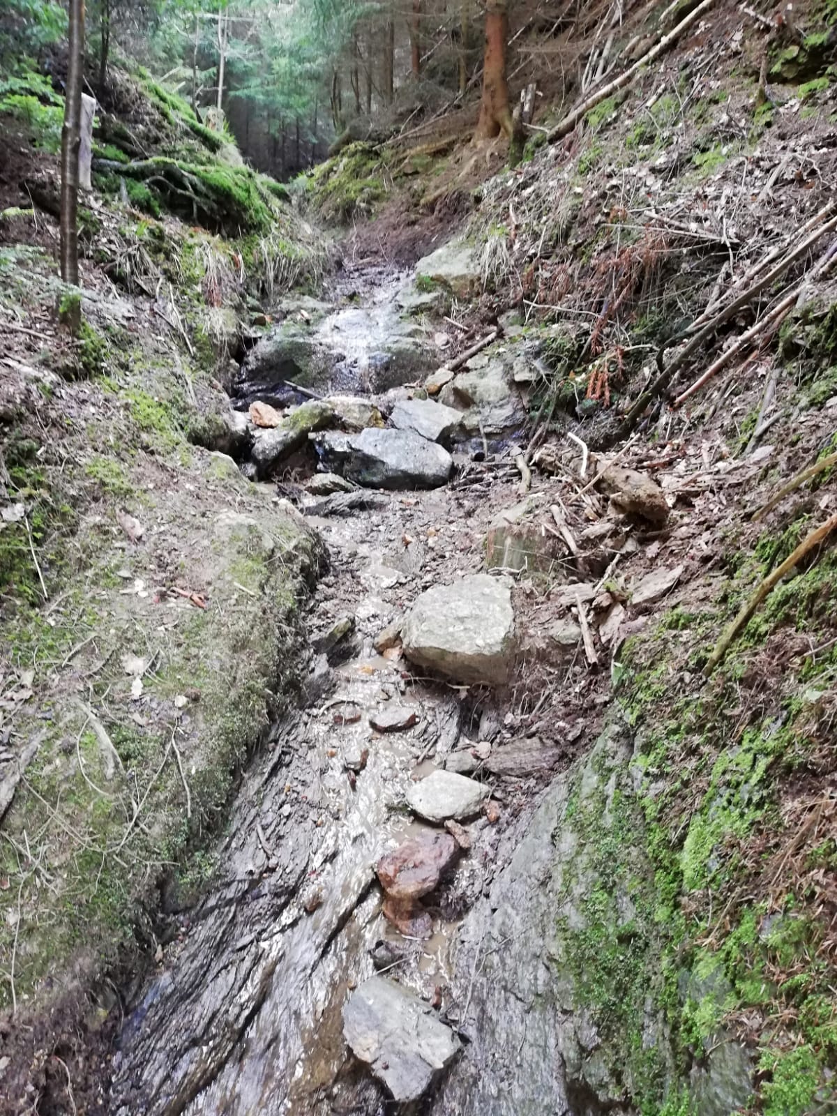 IMG 20190823 WA0002