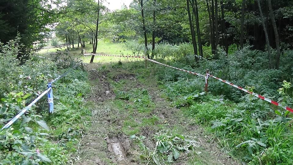Cross test Koblasko